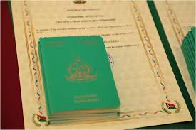 Achieve Vanuatu Citizenship in Just 30 Days 880908565